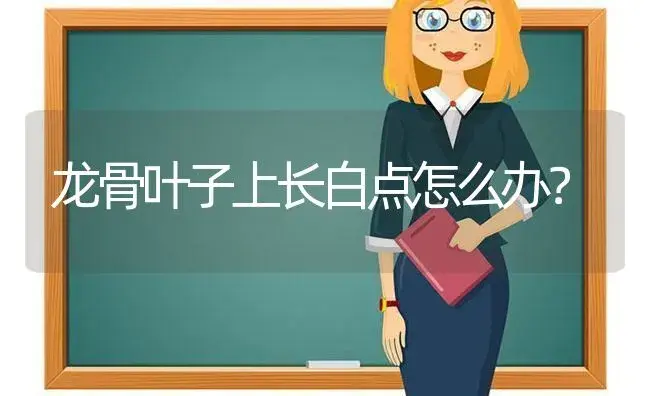 龙骨叶子上长白点怎么办？ | 多肉养殖