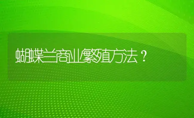 蝴蝶兰商业繁殖方法？ | 绿植常识