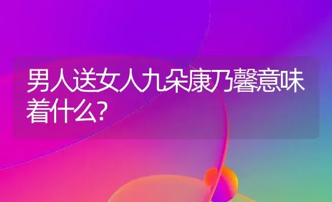 男人送女人九朵康乃馨意味着什么？ | 绿植常识