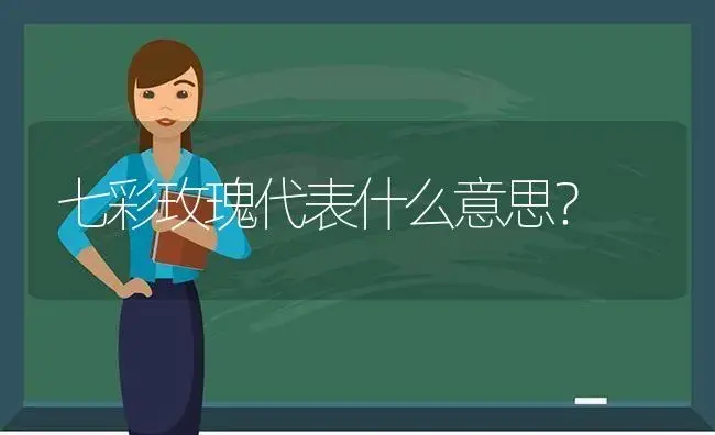 七彩玫瑰代表什么意思？ | 绿植常识