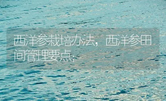 西洋参栽培办法，西洋参田间管理要点； | 药材种植