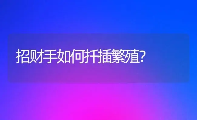 招财手如何扦插繁殖？ | 多肉养殖
