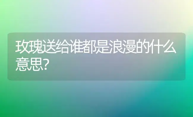 玫瑰送给谁都是浪漫的什么意思？ | 绿植常识