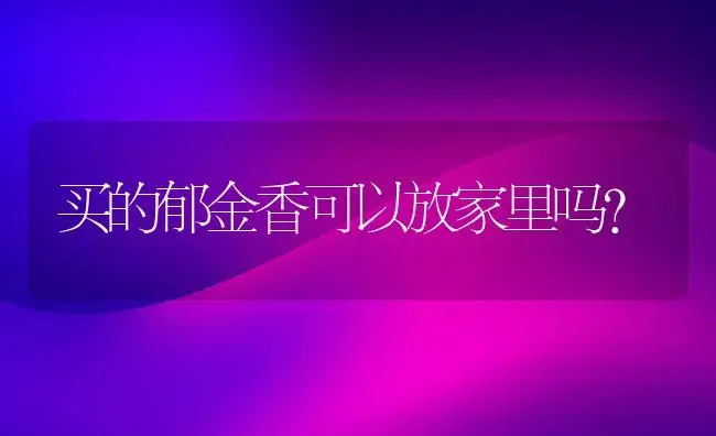 买的郁金香可以放家里吗？ | 绿植常识