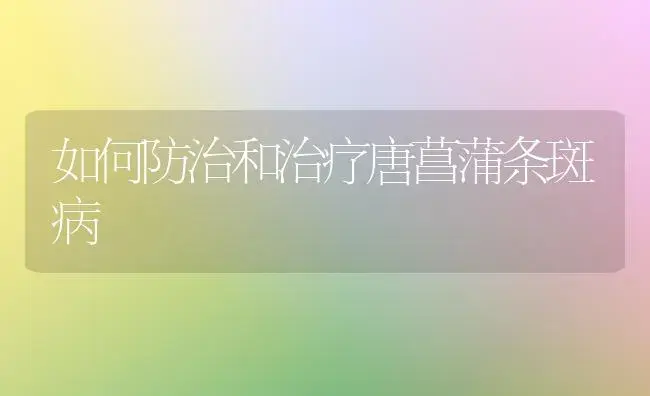 如何防治和治疗唐菖蒲条斑病 | 家庭养花