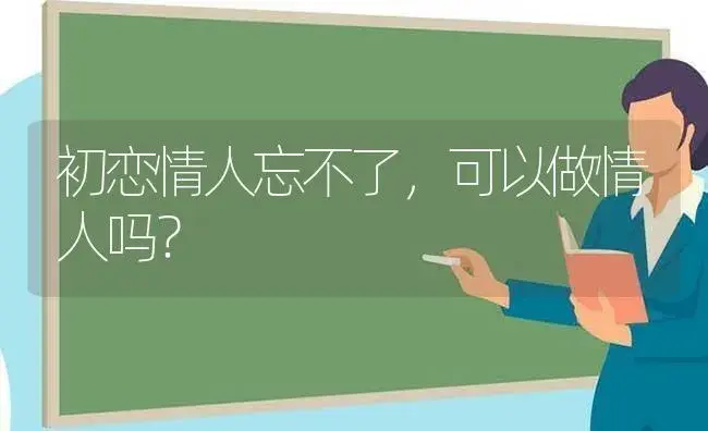 初恋情人忘不了,可以做情人吗？ | 多肉养殖