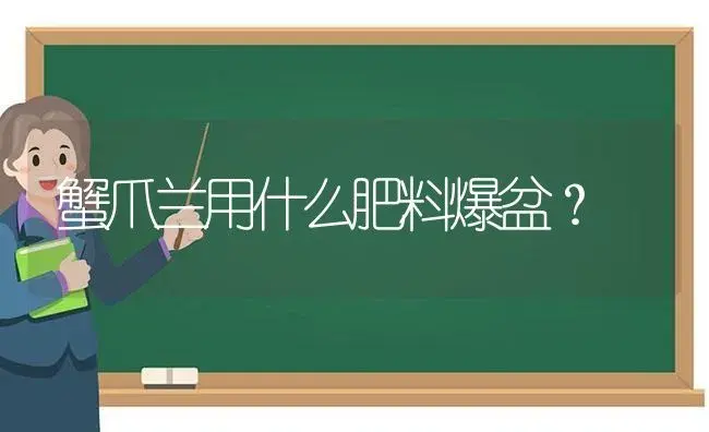 蟹爪兰用什么肥料爆盆？ | 多肉养殖