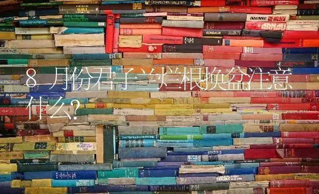 8月份君子兰烂根换盆注意什么？ | 绿植常识