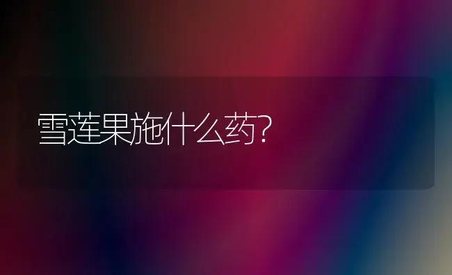 雪莲果施什么药？ | 多肉养殖