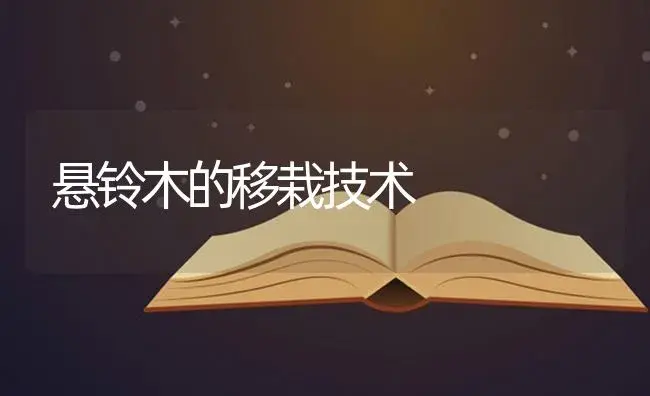 悬铃木的移栽技术 | 特种种植