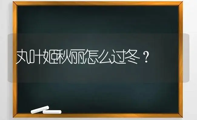 丸叶姬秋丽怎么过冬？ | 多肉养殖