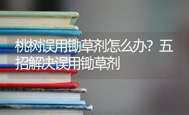 桃树误用锄草剂怎么办？五招解决误用锄草剂 | 果木种植