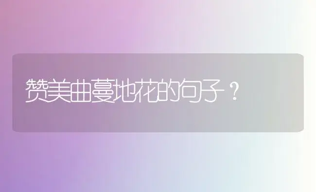 赞美曲蔓地花的句子？ | 绿植常识