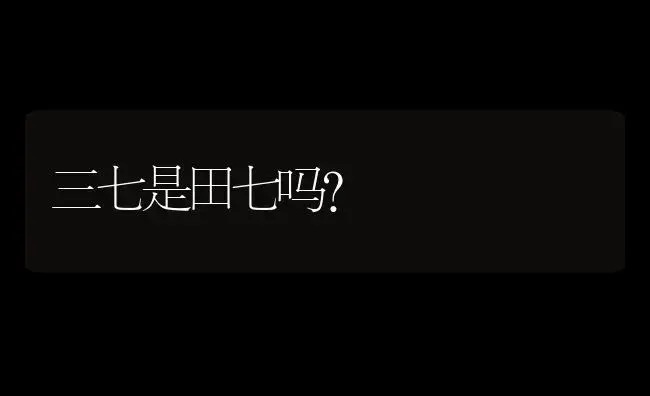 三七是田七吗？ | 药材种植