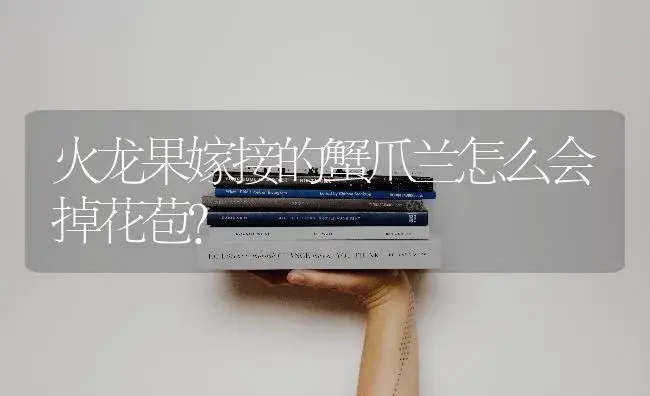 多肉狼牙棒怎样繁殖？ | 多肉养殖