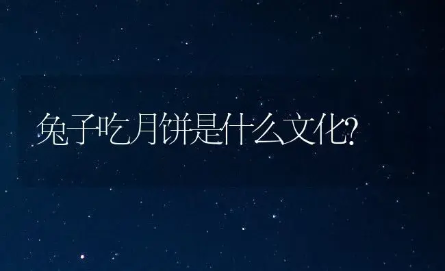 兔子吃月饼是什么文化？ | 多肉养殖