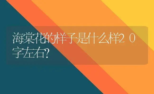 海棠花的样子是什么样20字左右？ | 绿植常识