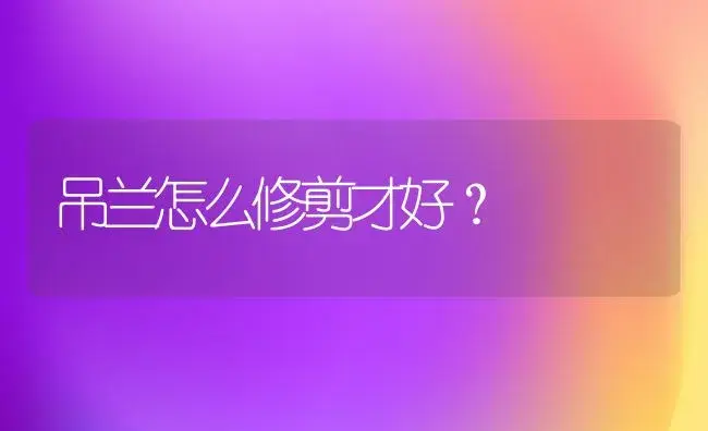 吊兰怎么修剪才好？ | 家庭养花