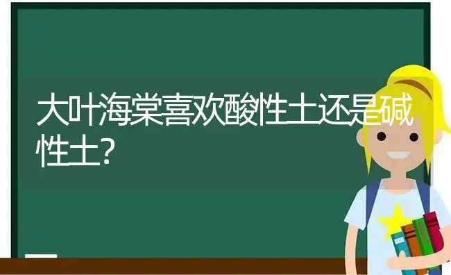 大叶海棠喜欢酸性土还是碱性土？ | 绿植常识