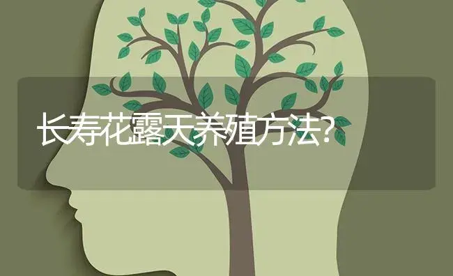 多肉乙女心怎么养爆盆？ | 多肉养殖