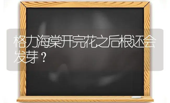 格力海棠开完花之后根还会发芽？ | 绿植常识