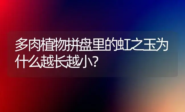 多肉植物拼盘里的虹之玉为什么越长越小？ | 多肉养殖