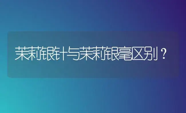 茉莉银针与茉莉银毫区别？ | 绿植常识