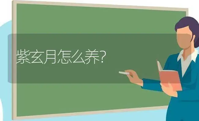 紫玄月怎么养？ | 多肉养殖
