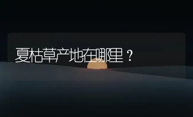 夏枯草产地在哪里？ | 药材种植