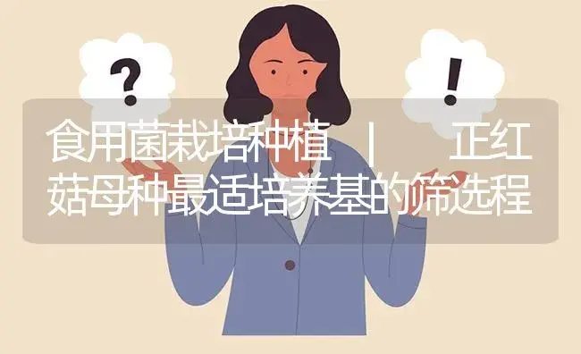 灵芝如何存放最好？ | 菌菇种植