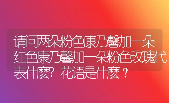 请问两朵粉色康乃馨加一朵红色康乃馨加一朵粉色玫瑰代表什麽?花语是什麽？ | 绿植常识