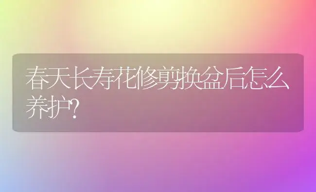 春天长寿花修剪换盆后怎么养护？ | 多肉养殖