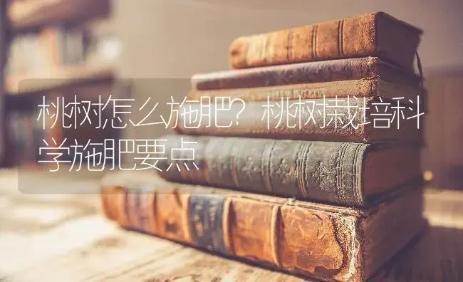 桃树怎么施肥？桃树栽培科学施肥要点 | 果木种植