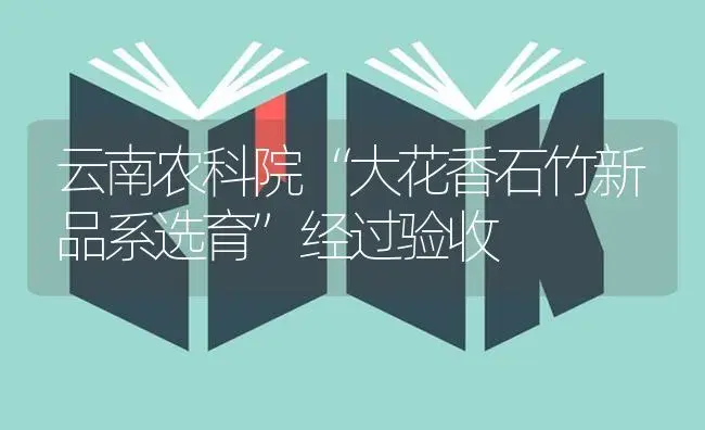 云南农科院“大花香石竹新品系选育”经过验收 | 特种种植