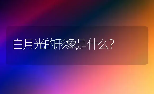 白月光的形象是什么？ | 绿植常识