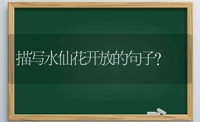 描写水仙花开放的句子？ | 绿植常识