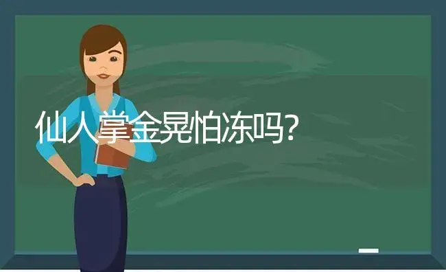 仙人掌金晃怕冻吗？ | 多肉养殖