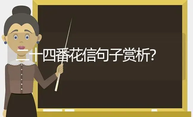 二十四番花信句子赏析？ | 绿植常识