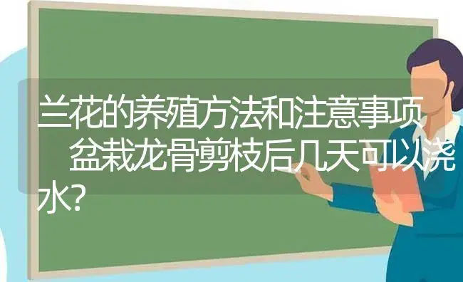 兰花的养殖方法和注意事项 盆栽龙骨剪枝后几天可以浇水？ | 绿植常识