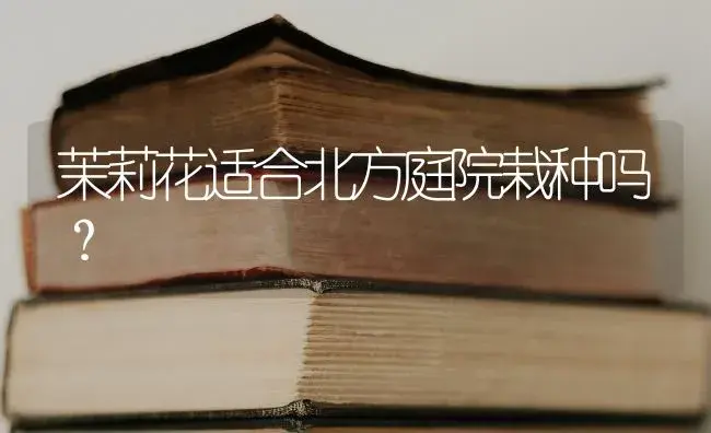 茉莉花适合北方庭院栽种吗？ | 绿植常识