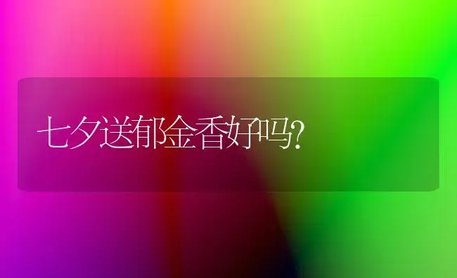 七夕送郁金香好吗？ | 绿植常识