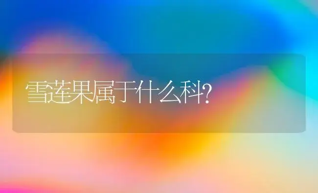 雪莲果属于什么科？ | 多肉养殖