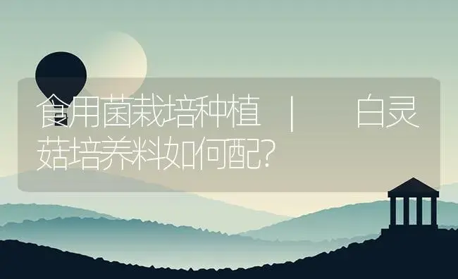 白灵菇培养料如何配？ | 菌菇种植