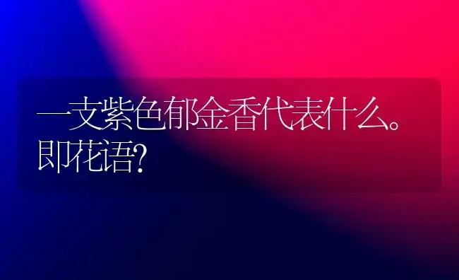 一支紫色郁金香代表什么。即花语？ | 绿植常识