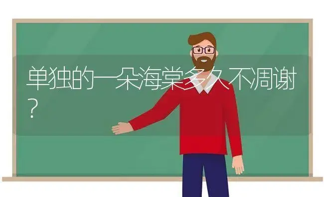 单独的一朵海棠多久不凋谢？ | 绿植常识