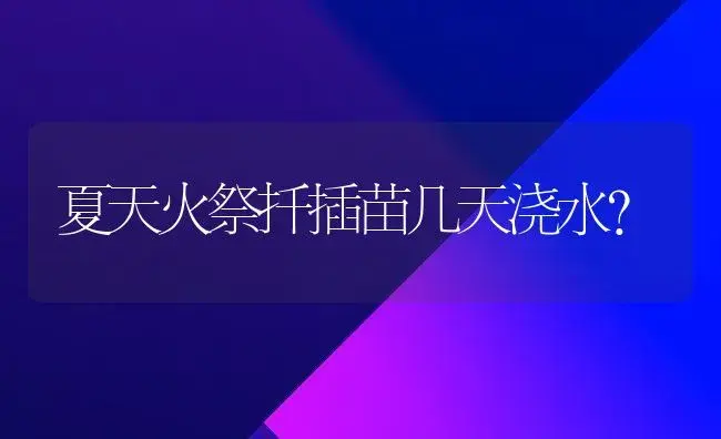 夏天火祭扦插苗几天浇水？ | 多肉养殖