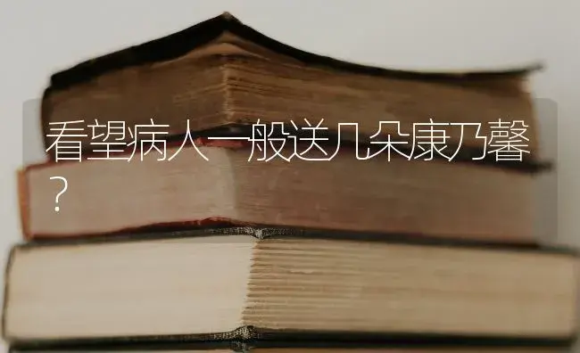 看望病人一般送几朵康乃馨？ | 绿植常识