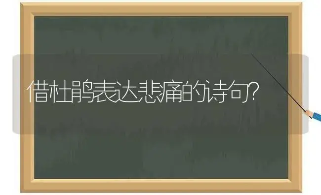 借杜鹃表达悲痛的诗句？ | 绿植常识