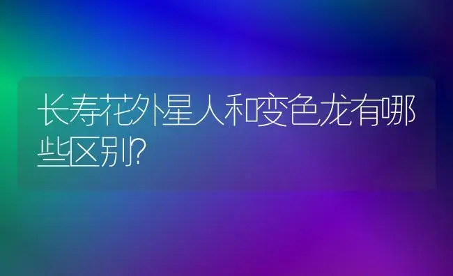 长寿花外星人和变色龙有哪些区别？ | 多肉养殖