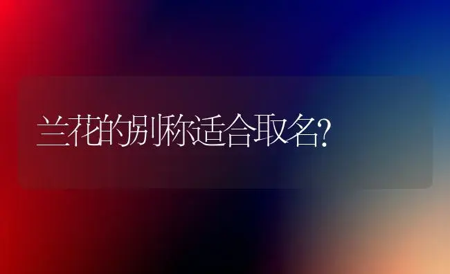 兰花的别称适合取名？ | 绿植常识